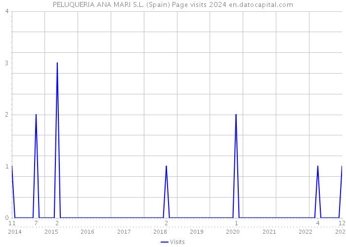PELUQUERIA ANA MARI S.L. (Spain) Page visits 2024 