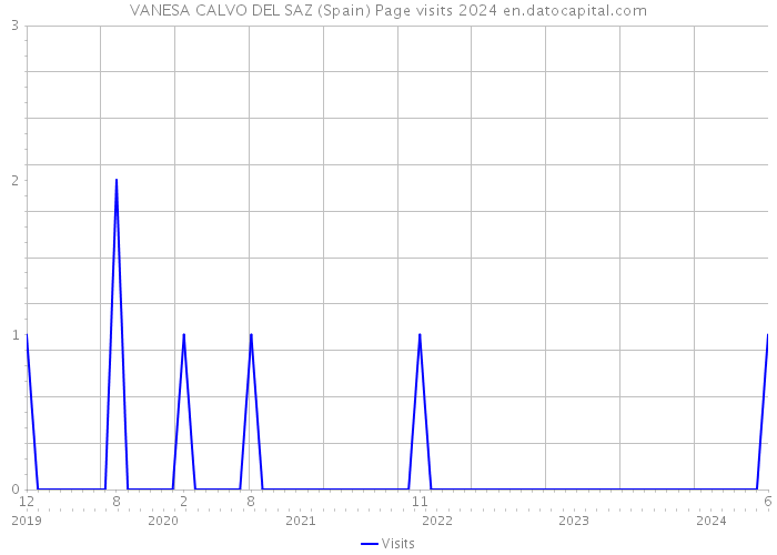 VANESA CALVO DEL SAZ (Spain) Page visits 2024 