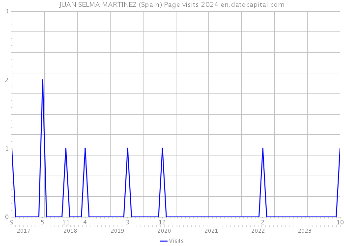 JUAN SELMA MARTINEZ (Spain) Page visits 2024 
