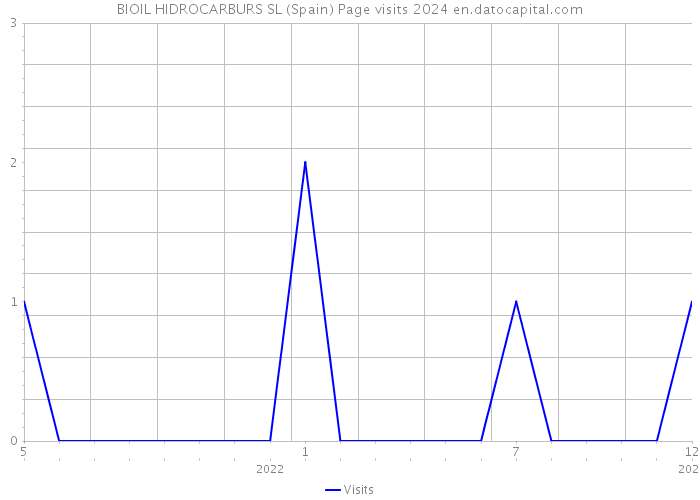 BIOIL HIDROCARBURS SL (Spain) Page visits 2024 