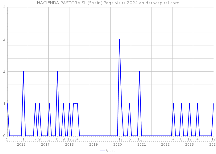 HACIENDA PASTORA SL (Spain) Page visits 2024 