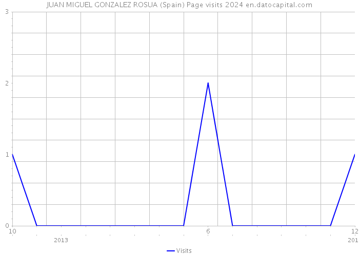 JUAN MIGUEL GONZALEZ ROSUA (Spain) Page visits 2024 