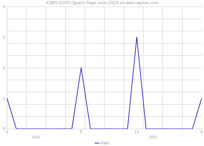 KOEN GOOS (Spain) Page visits 2024 