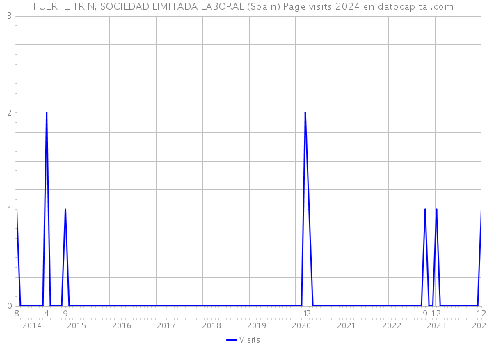 FUERTE TRIN, SOCIEDAD LIMITADA LABORAL (Spain) Page visits 2024 