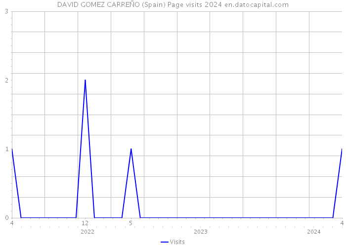 DAVID GOMEZ CARREÑO (Spain) Page visits 2024 