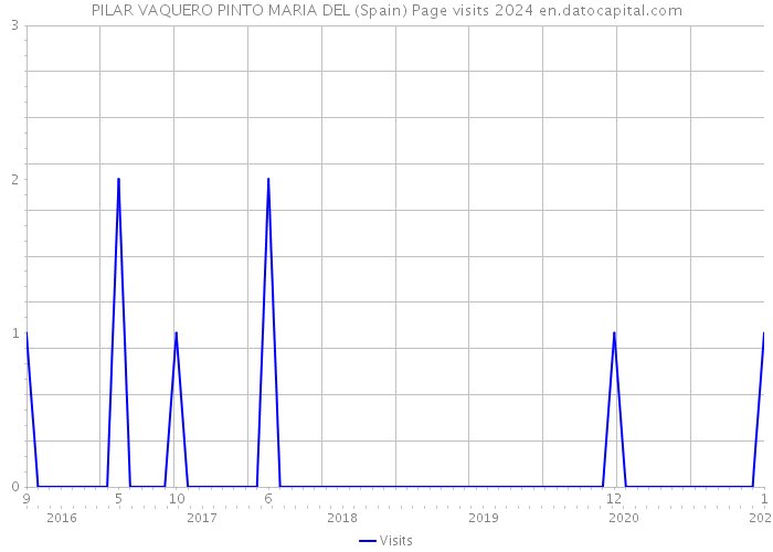 PILAR VAQUERO PINTO MARIA DEL (Spain) Page visits 2024 