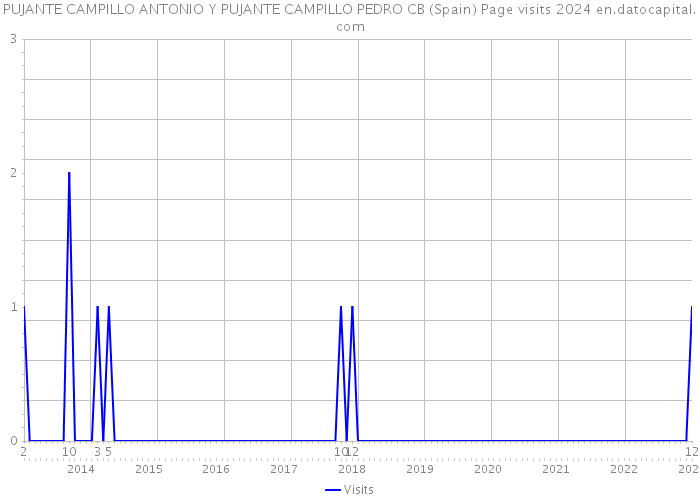 PUJANTE CAMPILLO ANTONIO Y PUJANTE CAMPILLO PEDRO CB (Spain) Page visits 2024 