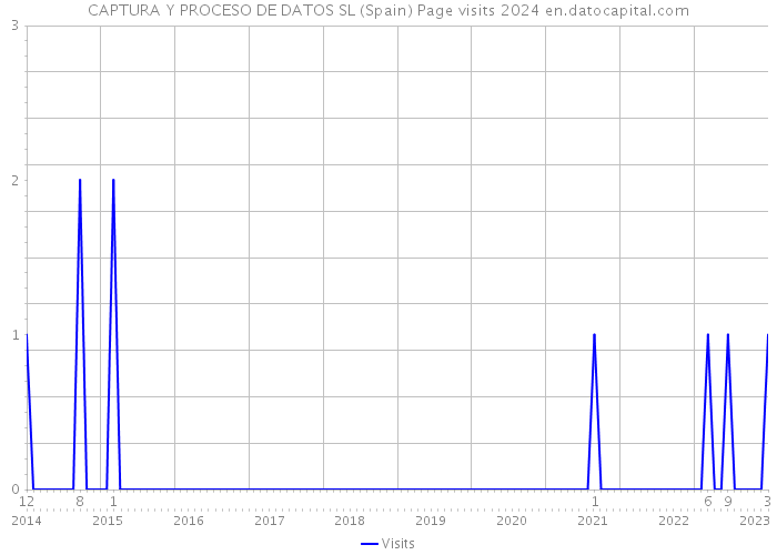 CAPTURA Y PROCESO DE DATOS SL (Spain) Page visits 2024 