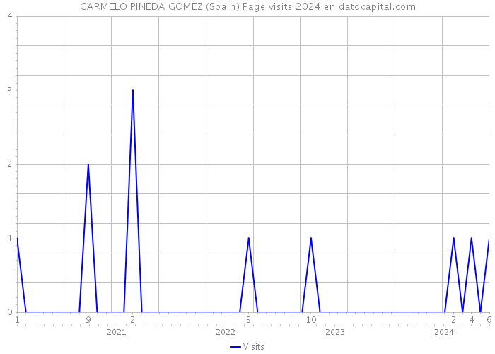 CARMELO PINEDA GOMEZ (Spain) Page visits 2024 