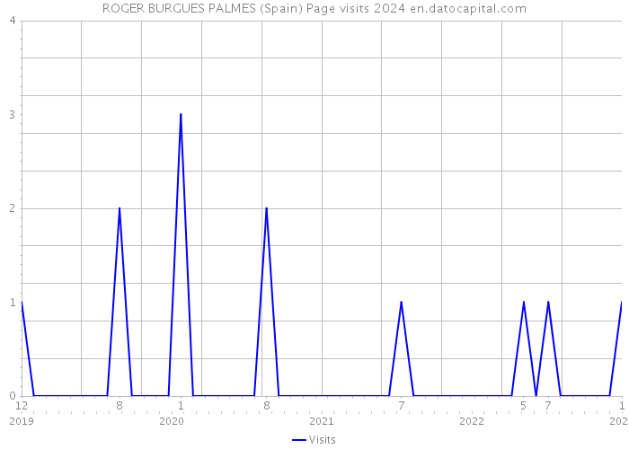 ROGER BURGUES PALMES (Spain) Page visits 2024 