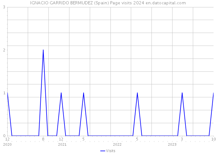 IGNACIO GARRIDO BERMUDEZ (Spain) Page visits 2024 