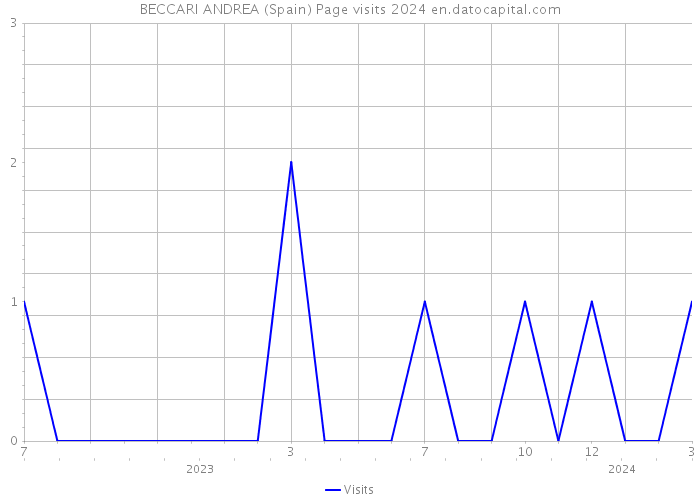 BECCARI ANDREA (Spain) Page visits 2024 
