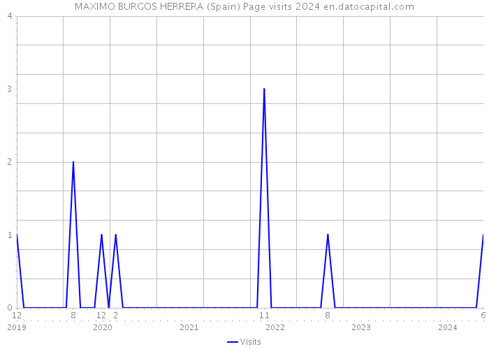 MAXIMO BURGOS HERRERA (Spain) Page visits 2024 