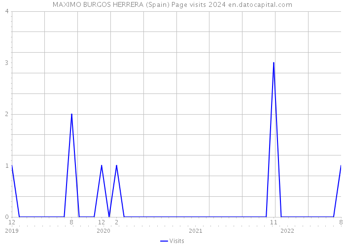 MAXIMO BURGOS HERRERA (Spain) Page visits 2024 
