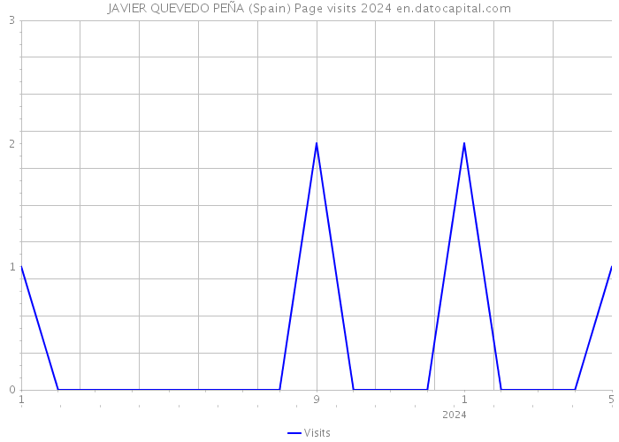 JAVIER QUEVEDO PEÑA (Spain) Page visits 2024 