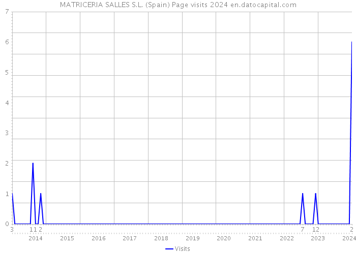 MATRICERIA SALLES S.L. (Spain) Page visits 2024 