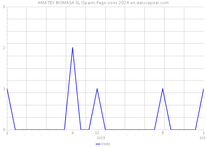 AMATEX BIOMASA SL (Spain) Page visits 2024 