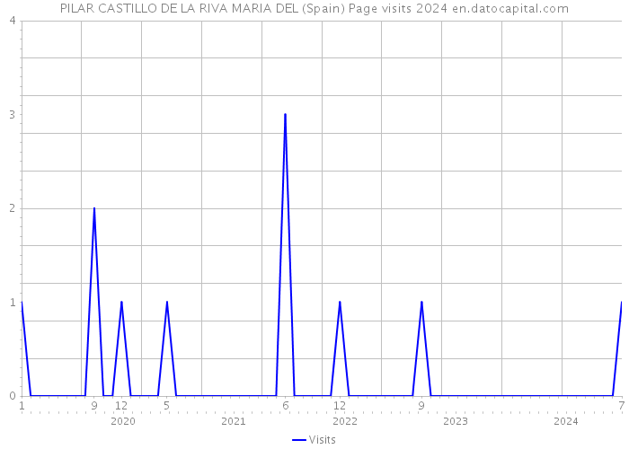 PILAR CASTILLO DE LA RIVA MARIA DEL (Spain) Page visits 2024 