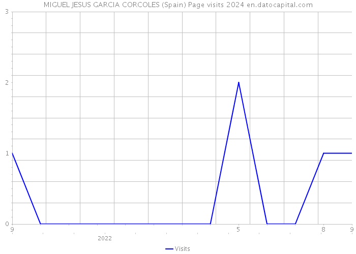 MIGUEL JESUS GARCIA CORCOLES (Spain) Page visits 2024 