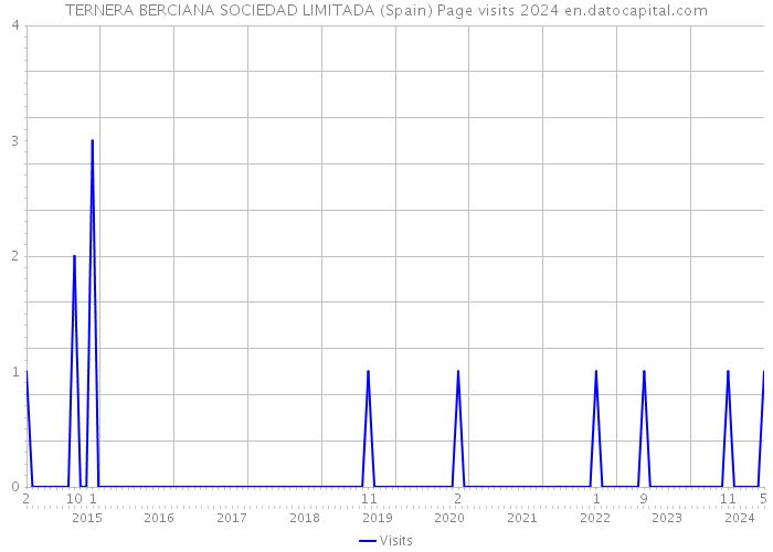 TERNERA BERCIANA SOCIEDAD LIMITADA (Spain) Page visits 2024 