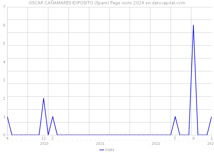 OSCAR CAÑAMARES EXPOSITO (Spain) Page visits 2024 