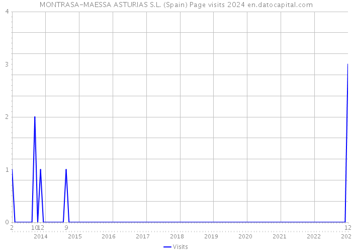 MONTRASA-MAESSA ASTURIAS S.L. (Spain) Page visits 2024 