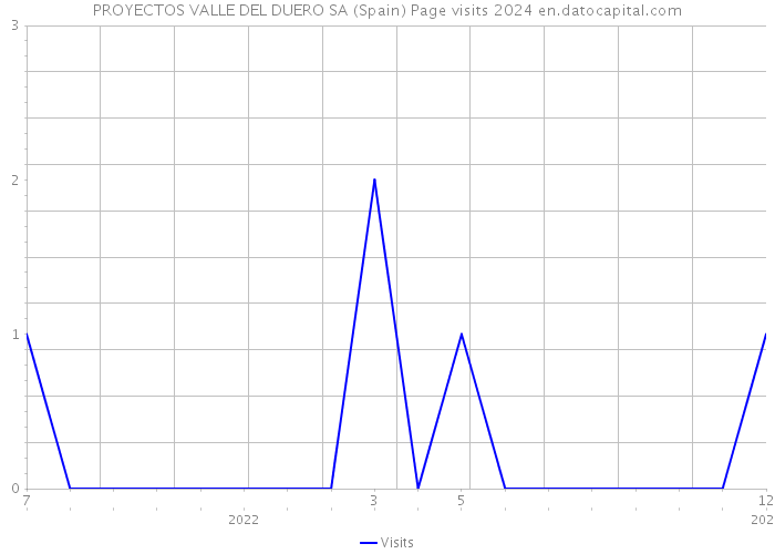 PROYECTOS VALLE DEL DUERO SA (Spain) Page visits 2024 