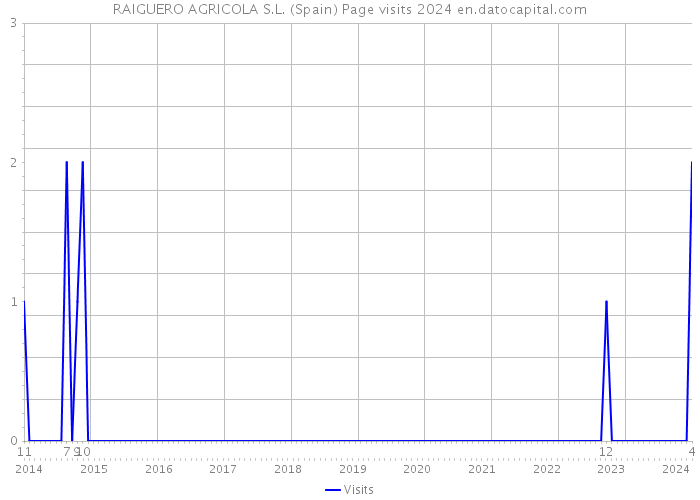 RAIGUERO AGRICOLA S.L. (Spain) Page visits 2024 