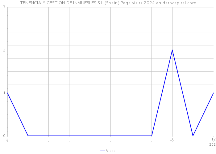 TENENCIA Y GESTION DE INMUEBLES S.L (Spain) Page visits 2024 