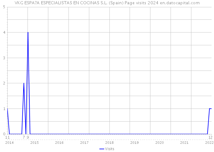 VKG ESPA?A ESPECIALISTAS EN COCINAS S.L. (Spain) Page visits 2024 