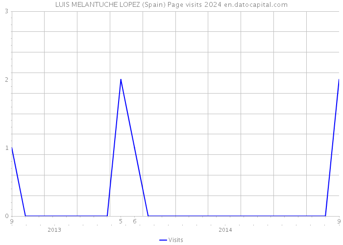 LUIS MELANTUCHE LOPEZ (Spain) Page visits 2024 