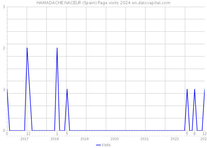 HAMADACHE NACEUR (Spain) Page visits 2024 