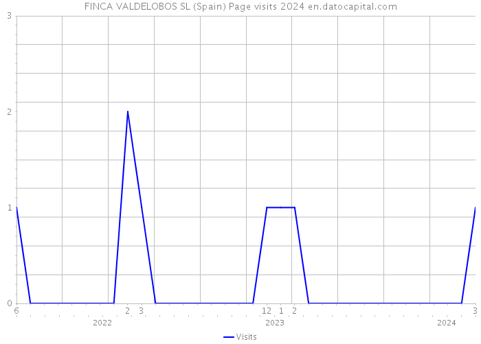 FINCA VALDELOBOS SL (Spain) Page visits 2024 