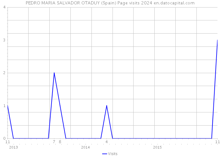 PEDRO MARIA SALVADOR OTADUY (Spain) Page visits 2024 