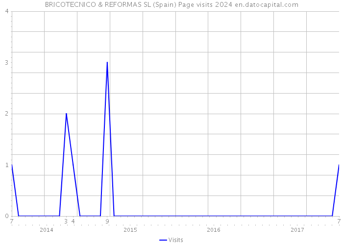 BRICOTECNICO & REFORMAS SL (Spain) Page visits 2024 