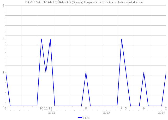 DAVID SAENZ ANTOÑANZAS (Spain) Page visits 2024 