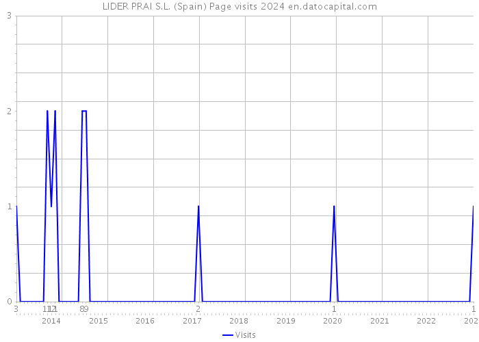 LIDER PRAI S.L. (Spain) Page visits 2024 