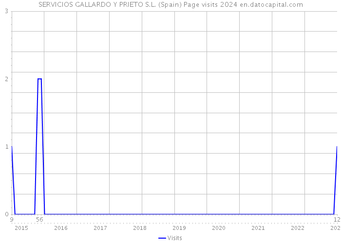 SERVICIOS GALLARDO Y PRIETO S.L. (Spain) Page visits 2024 