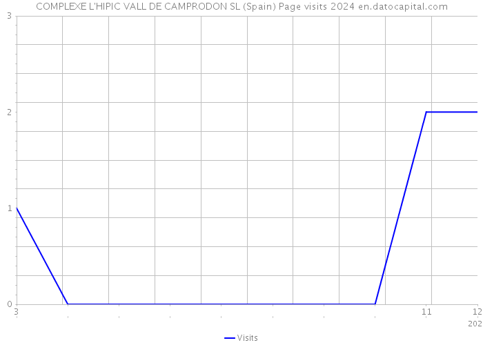 COMPLEXE L'HIPIC VALL DE CAMPRODON SL (Spain) Page visits 2024 