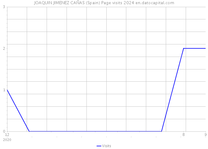 JOAQUIN JIMENEZ CAÑAS (Spain) Page visits 2024 