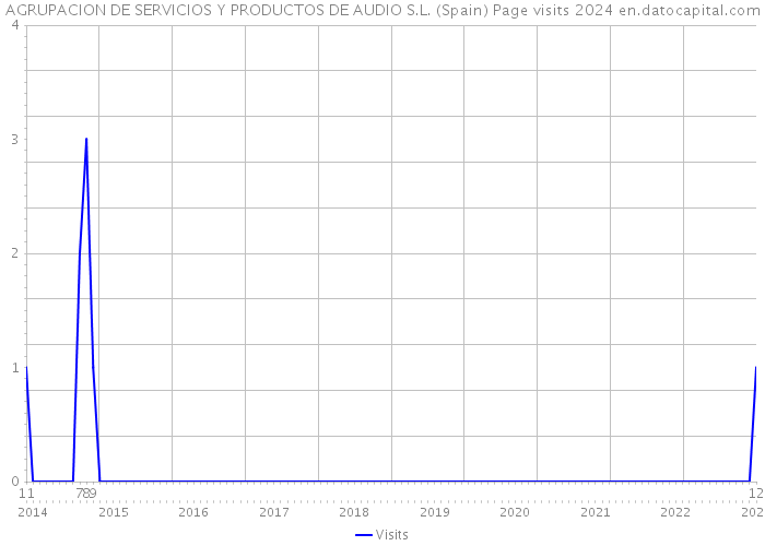 AGRUPACION DE SERVICIOS Y PRODUCTOS DE AUDIO S.L. (Spain) Page visits 2024 