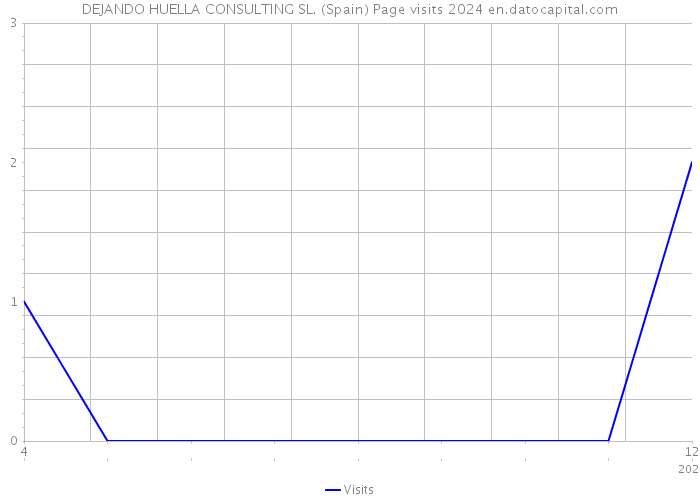 DEJANDO HUELLA CONSULTING SL. (Spain) Page visits 2024 