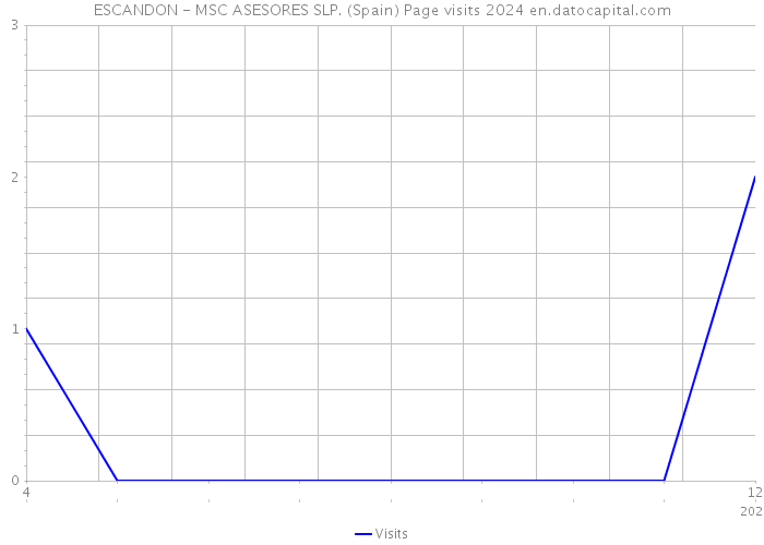 ESCANDON - MSC ASESORES SLP. (Spain) Page visits 2024 