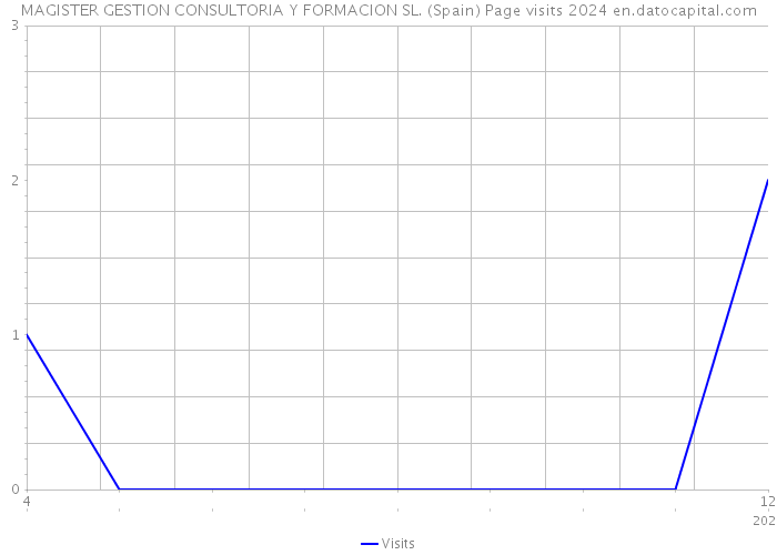 MAGISTER GESTION CONSULTORIA Y FORMACION SL. (Spain) Page visits 2024 