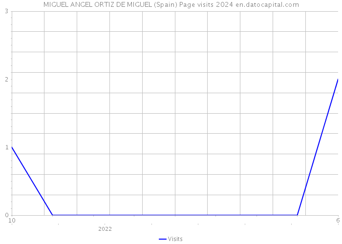 MIGUEL ANGEL ORTIZ DE MIGUEL (Spain) Page visits 2024 