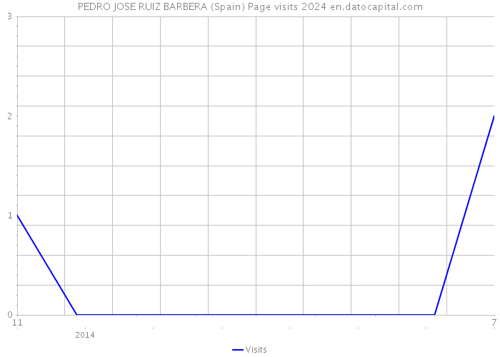 PEDRO JOSE RUIZ BARBERA (Spain) Page visits 2024 