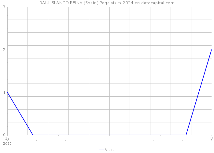 RAUL BLANCO REINA (Spain) Page visits 2024 