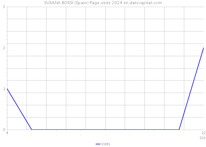 SUSANA BOSSI (Spain) Page visits 2024 