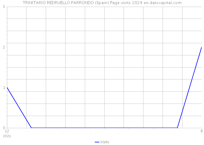 TRINITARIO REDRUELLO PARRONDO (Spain) Page visits 2024 