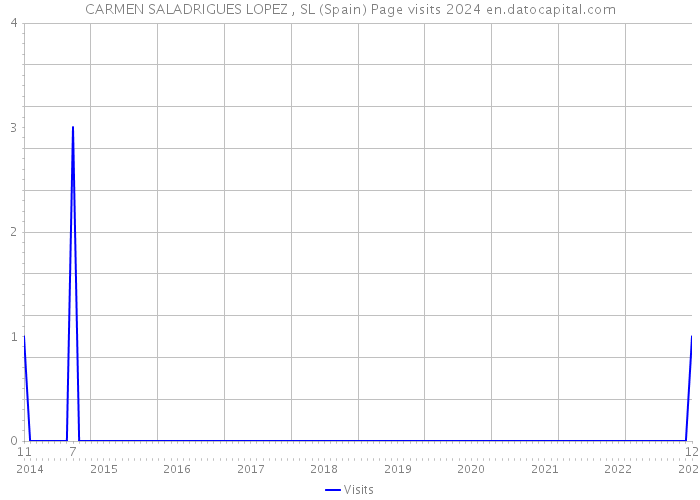 CARMEN SALADRIGUES LOPEZ , SL (Spain) Page visits 2024 